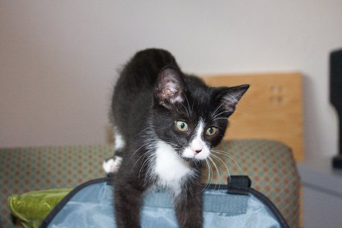 Misha_2008-07-07_0008